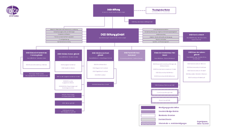 organigramm der DGD Stiftung