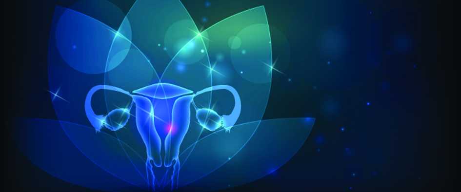 Female reproductive organs flower at the background