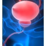 Patientenveranstaltung: Die Prostata im Fokus